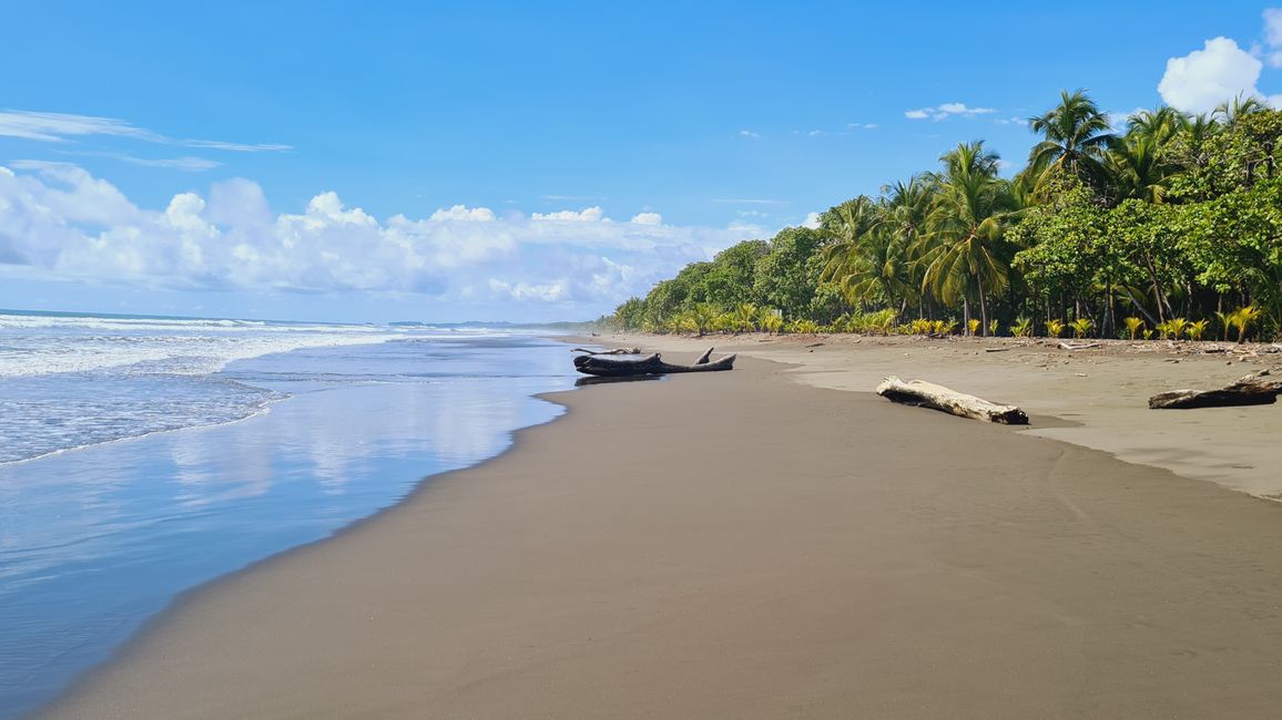 The Pacific coast of Costa Rica 🌊🦥