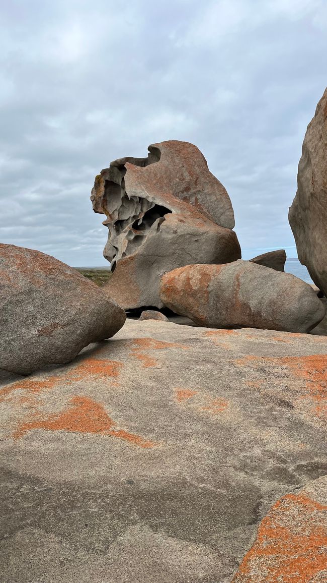 Kangaroo Island