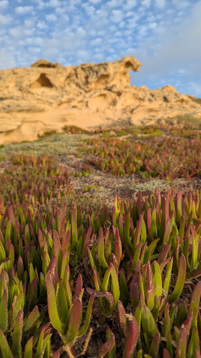 Tag 2: Inseltour auf Porto Santo