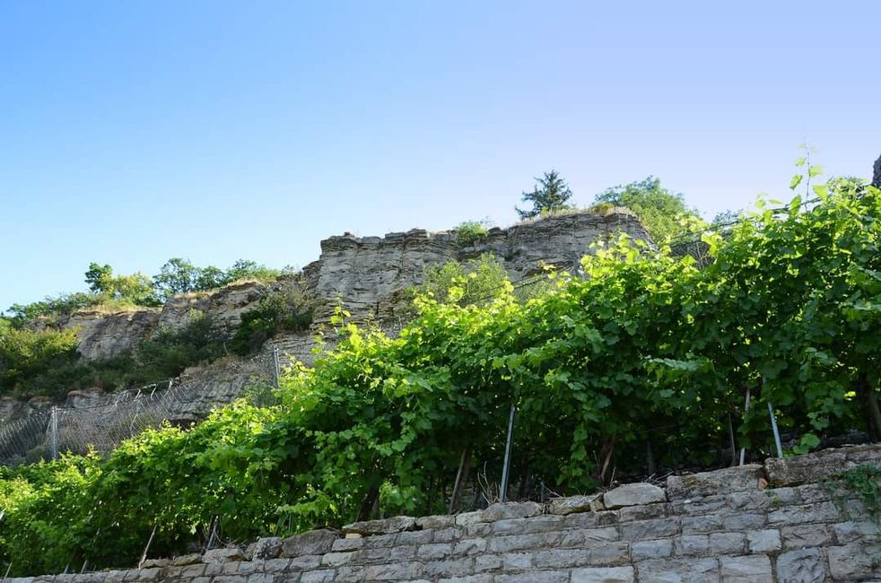 * * * S W A B I A N   
D O L O M I T E S * * *
Climbing, Hiking, Marveling: The Hessigheim Rock Gardens