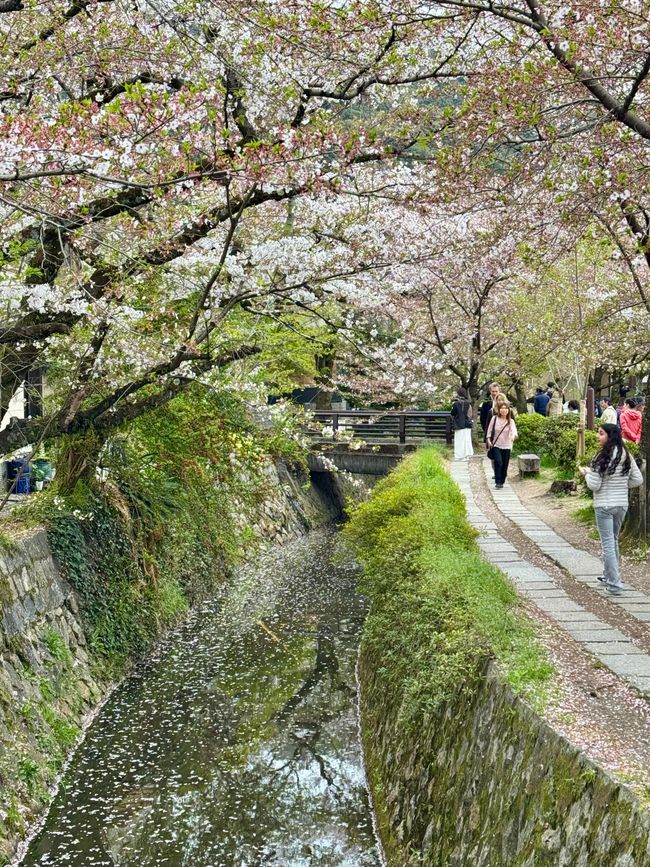 Part 8 Japan 🇯🇵 Kanazawa