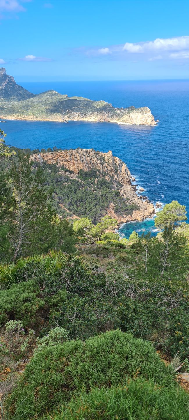 L'ingresso di Port Andratx a Ses Fontanelles