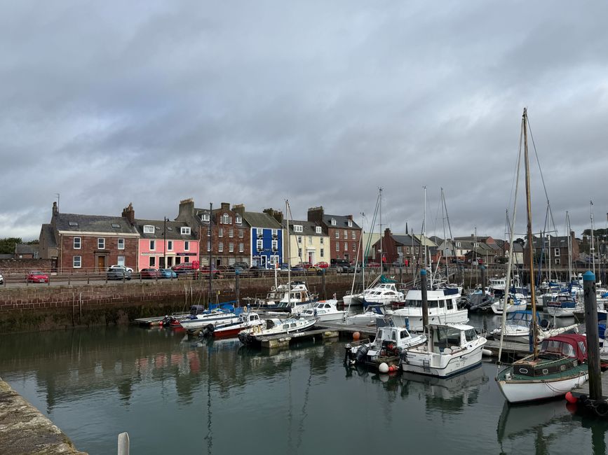 Arbroath, Smokies und Klippen