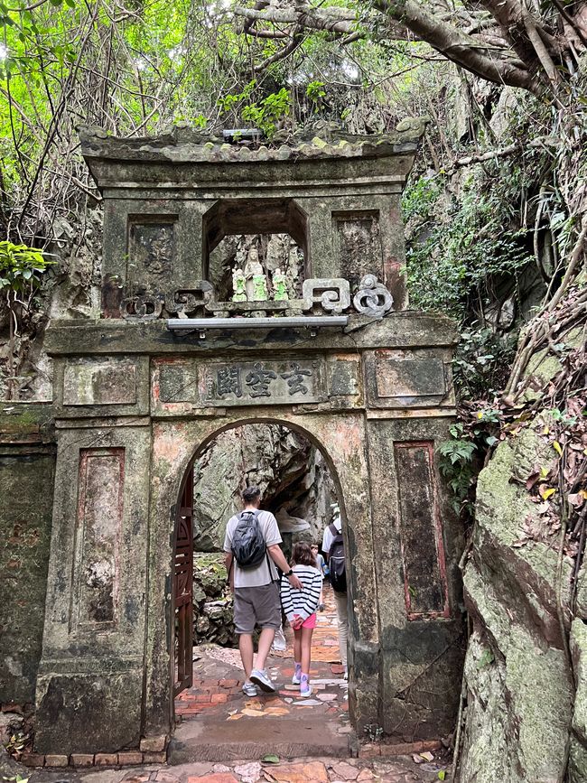Tag 5 - Hoi An: Ein Tag mit Affen, Einhörnern und vielen Überraschungen