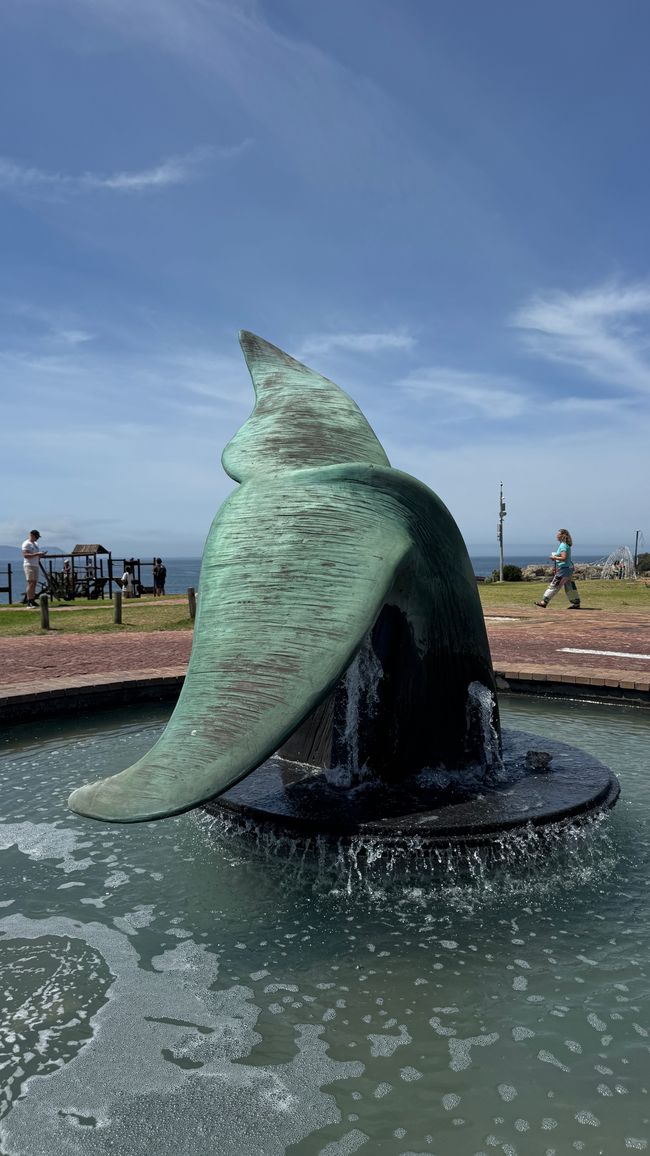 Zentrum Hermanus