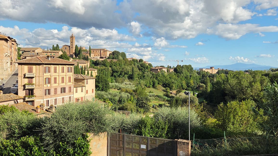 Vista sul verde