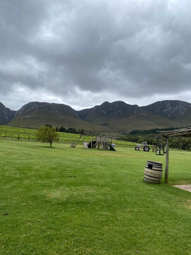 Nächster Stop AfriCamps