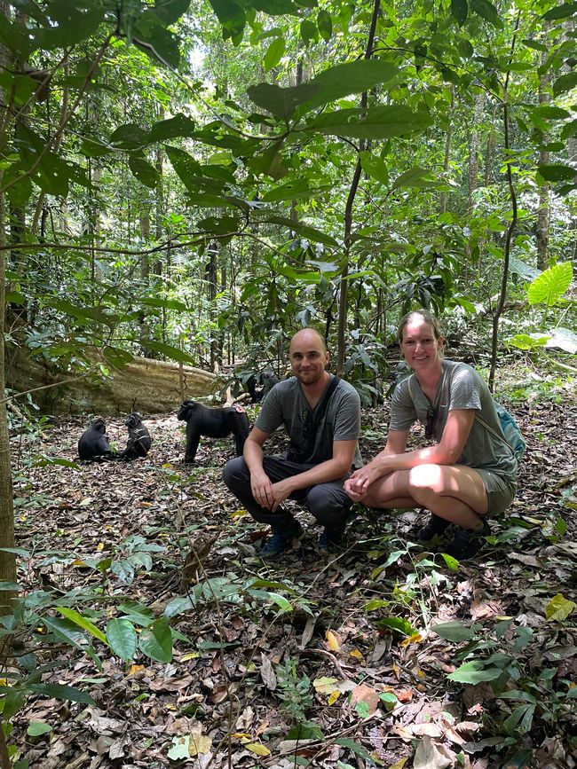 Tag 25/26 Tangkoko