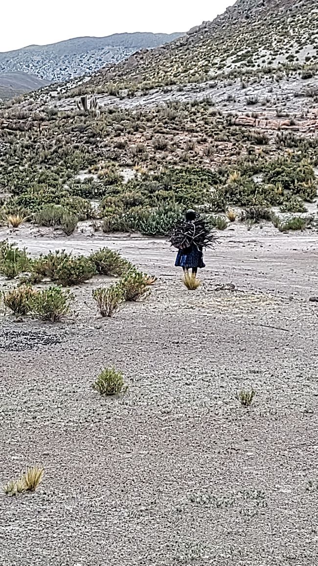 Bolivia, sorgenti termali a Tacoro