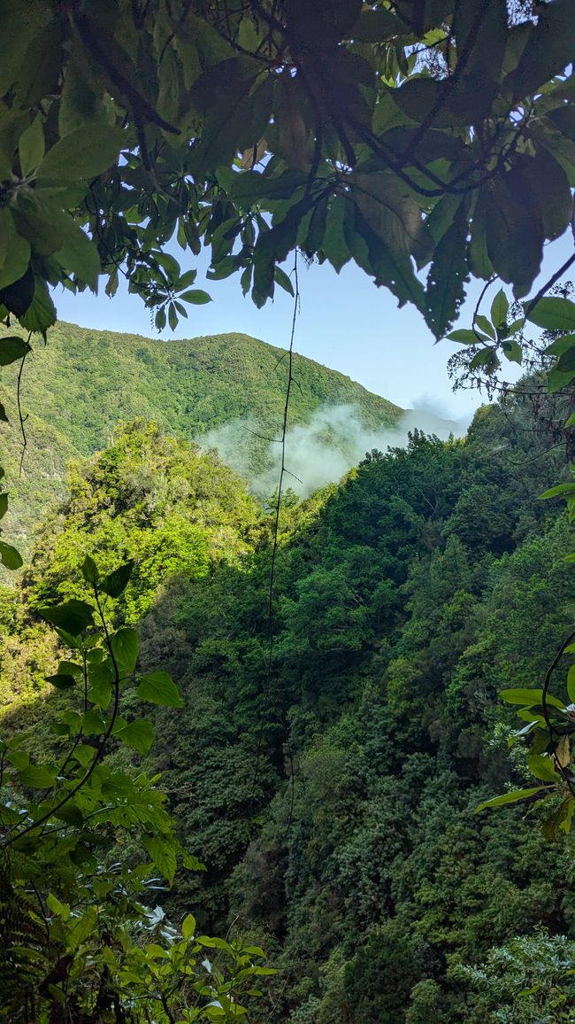 Tag 14: Levada do Caldeirão Verde & Nordküste