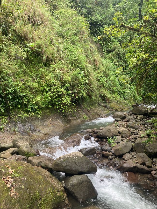 Monteverde