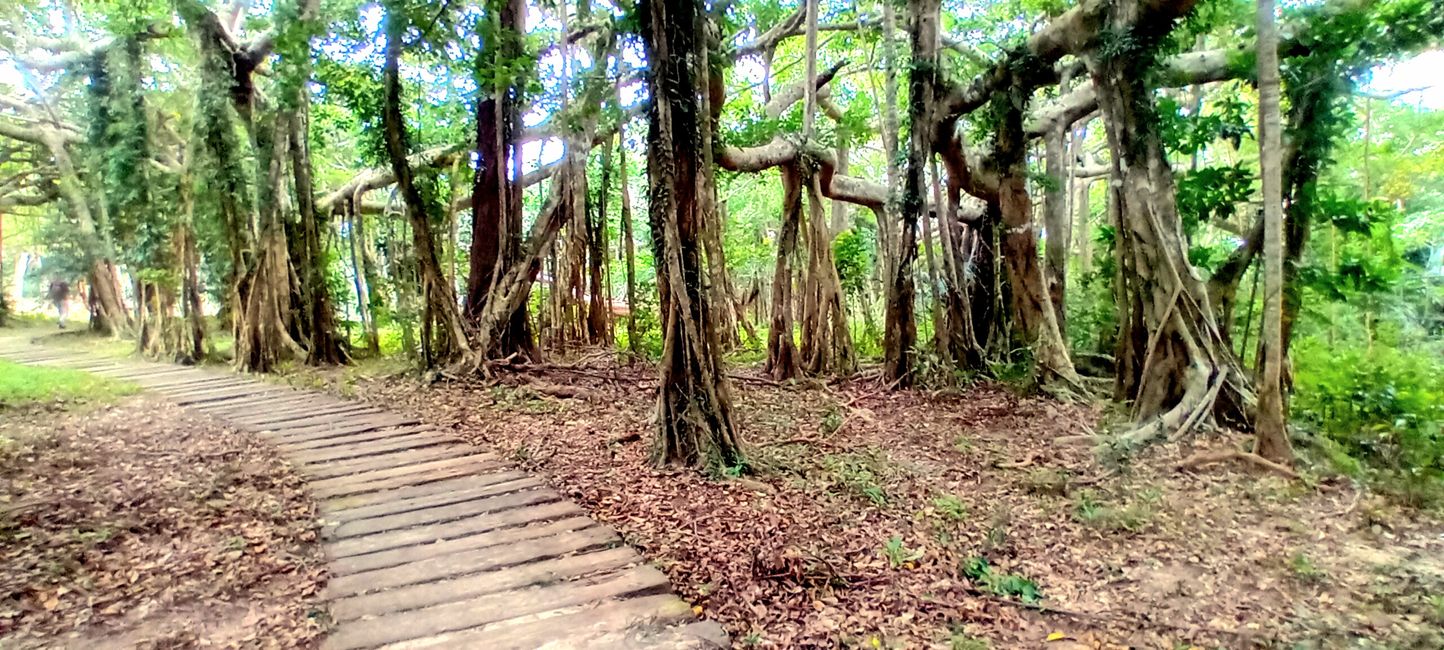 Parque Nacional Kenting