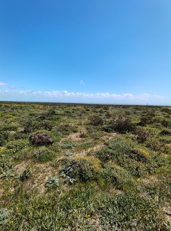 Sagres -> Vila do Bispo