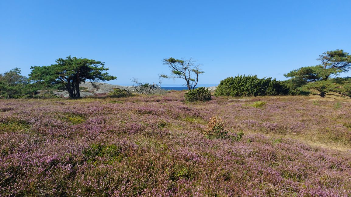Halden - Strömstad - Kostereilanden - Halden