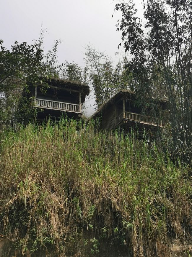 Hacia el norte montañoso hacia SaPa