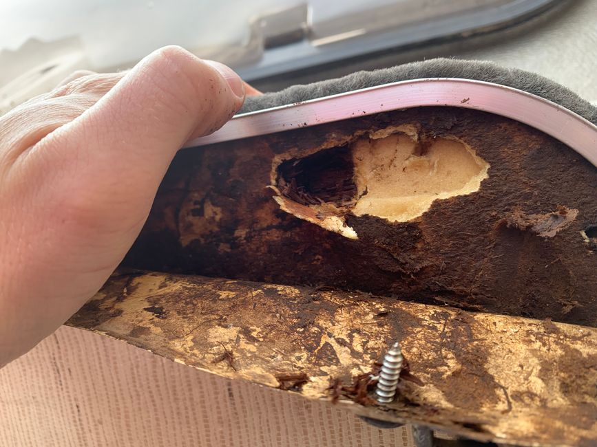 Restauration der Kofferraumklappe