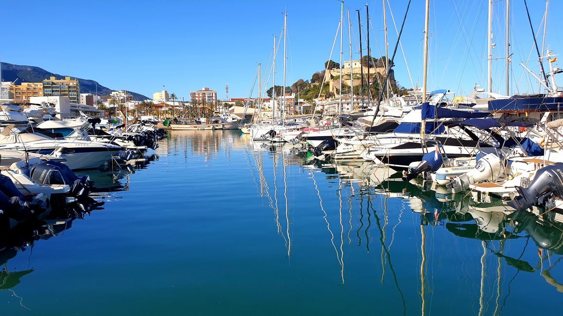 Alicante?...no grazie 609