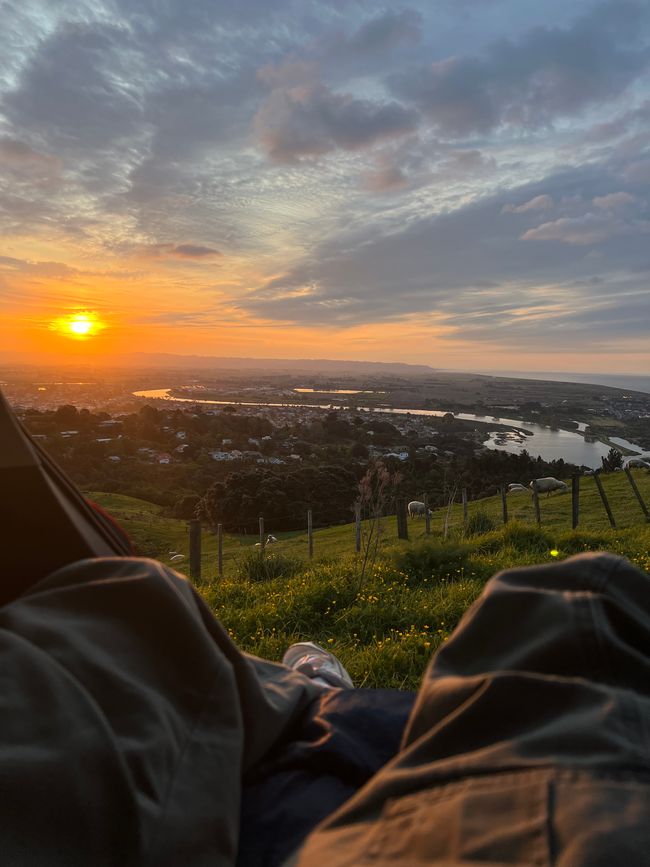 Sunset Lookout Whakatane