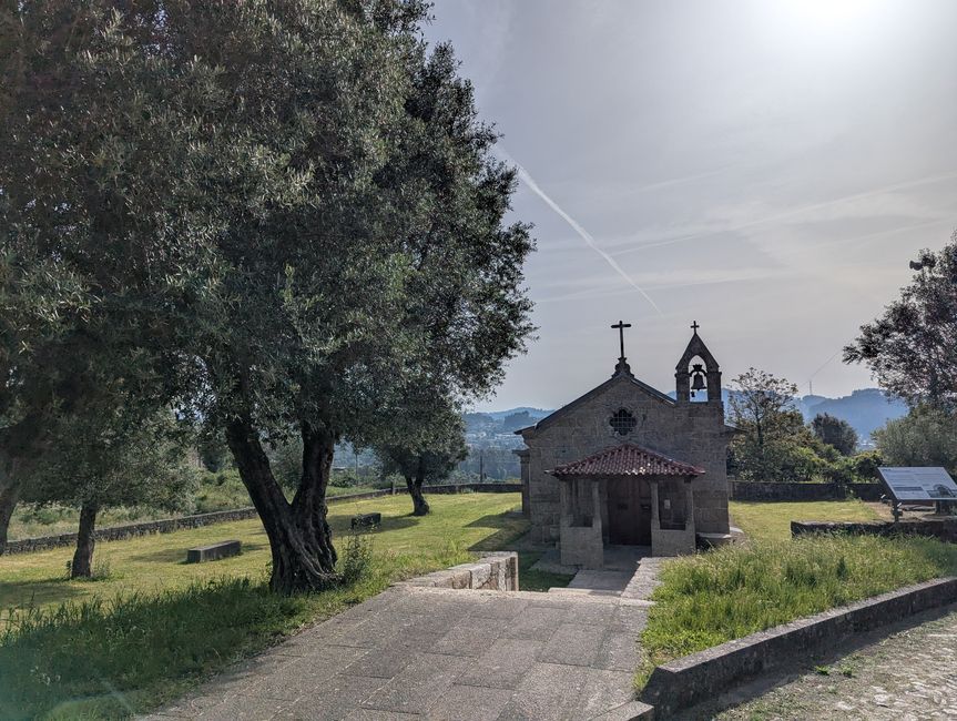 Biotopo dei pellegrini in Portogallo (Camino Portugues 4)