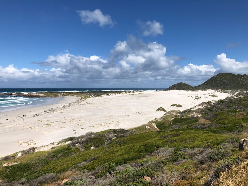 #5 - Ciudad del Cabo - En el Cabo de Buena Esperanza