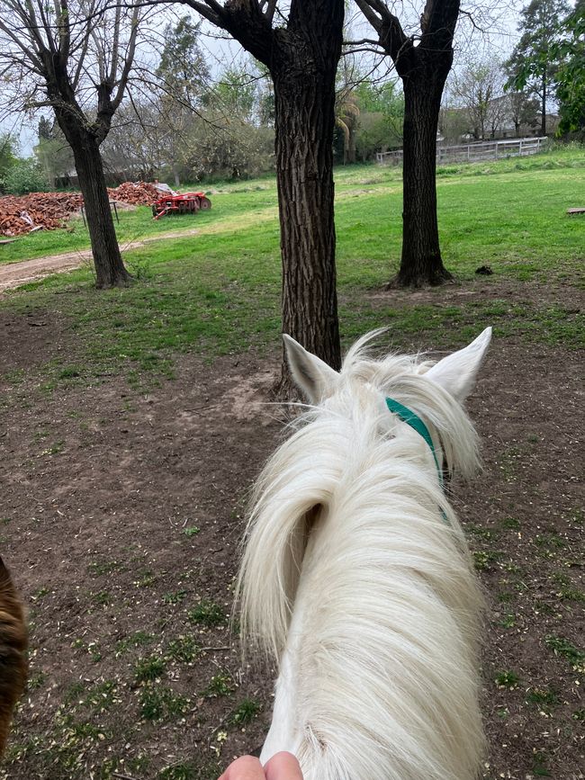 San Antonio de Areco - En las huellas de los gauchos