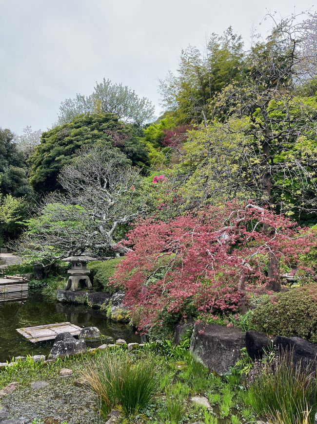 Kamakura-Freitag-11.04.25