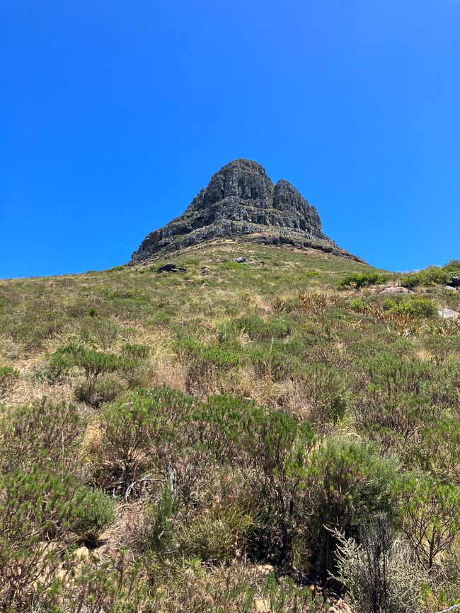 Hiking Lion’s head and Signal hill as last day tour