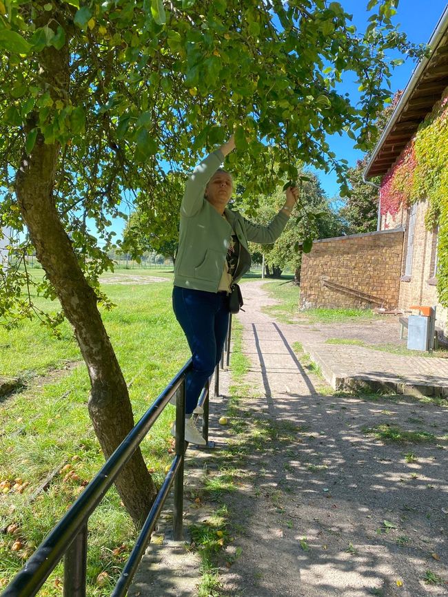 Zehdenick to Go – Bricks, Ducks, and Havel Joy