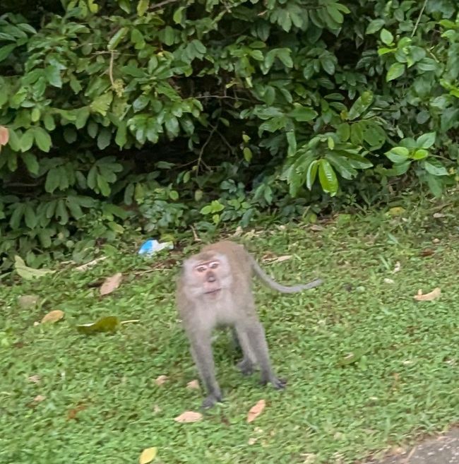 Wir haben die Sonne wiedergesehen.