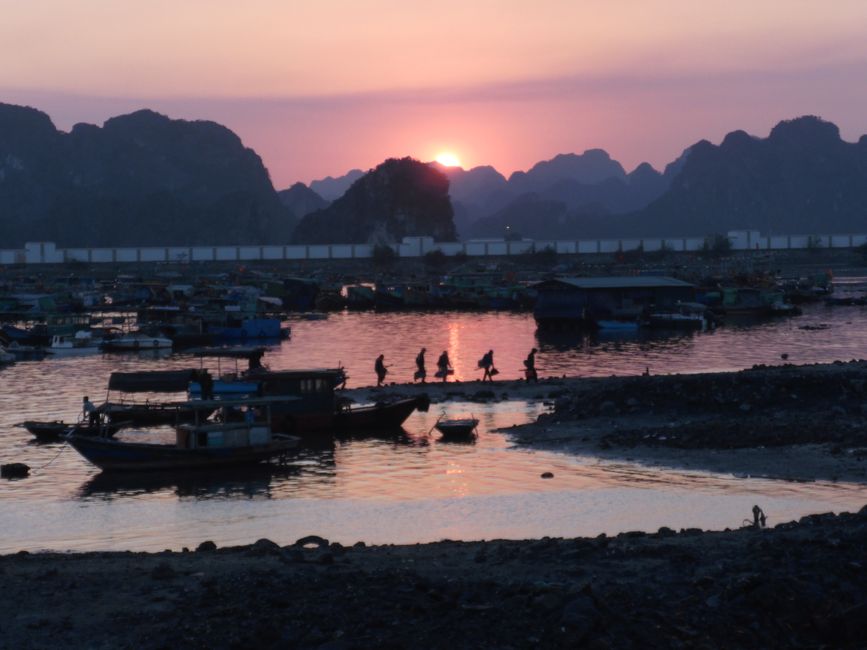 2025-01-11 Cat Ba, Vietnam