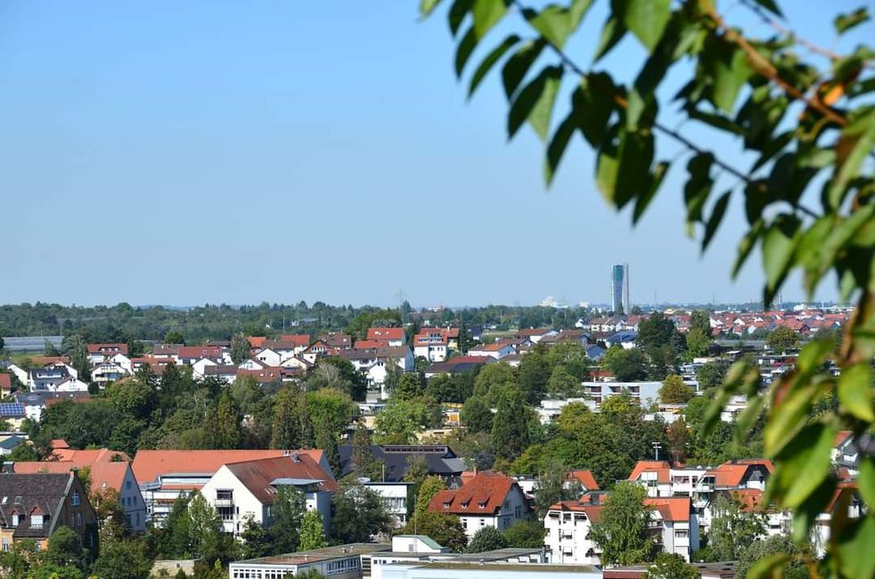 Zwischen Weinreben und Geschichte: Die Yburg im Fokus 📸