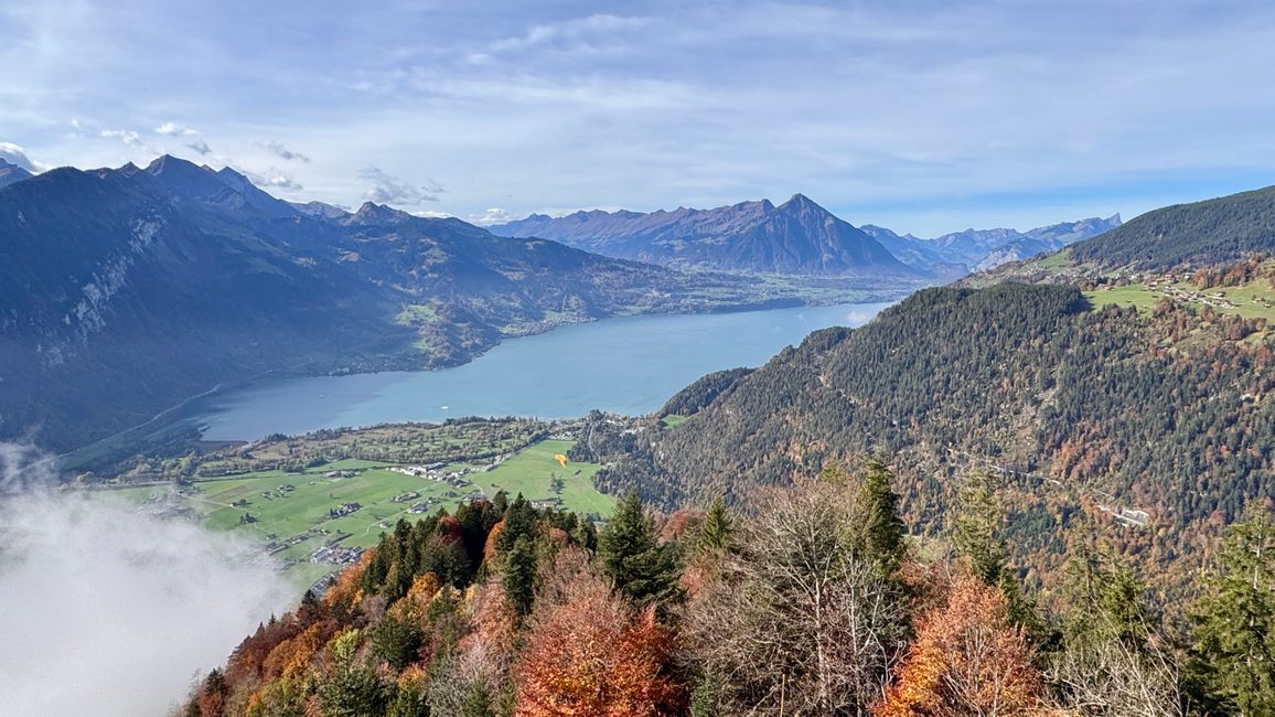 Blick über den Thunersee