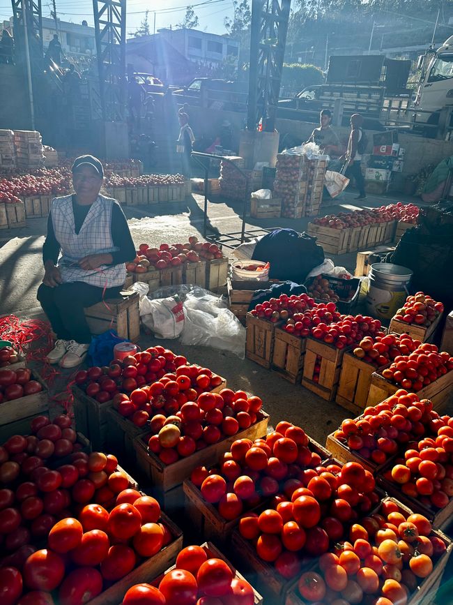 Market in Pelileo