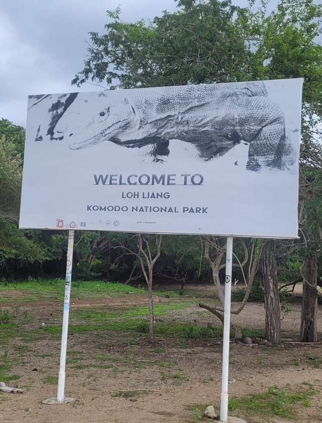 Day 110 of 175: Cruise around the world - Komodo/Indonesia