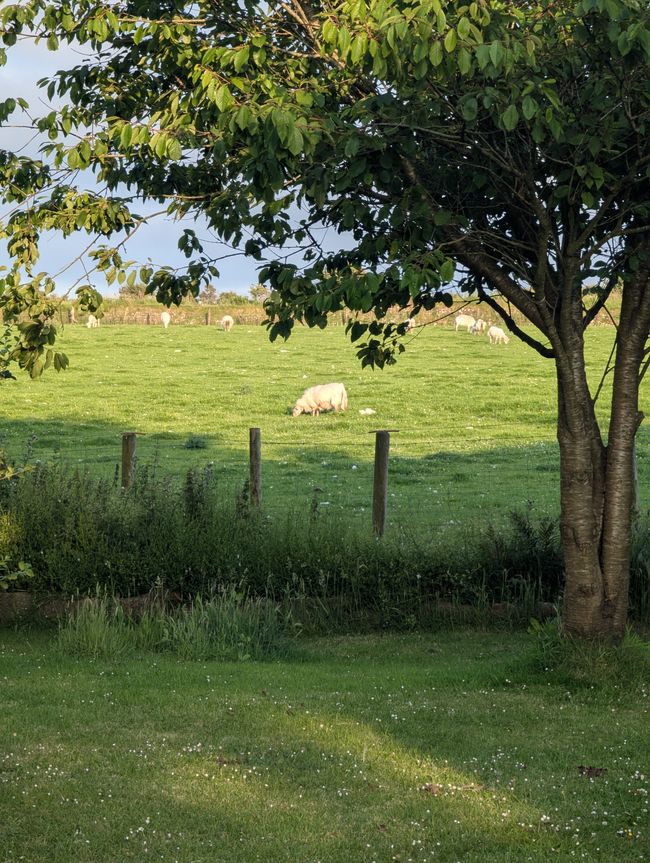 Newquay- das Surferparadies Großbritanniens