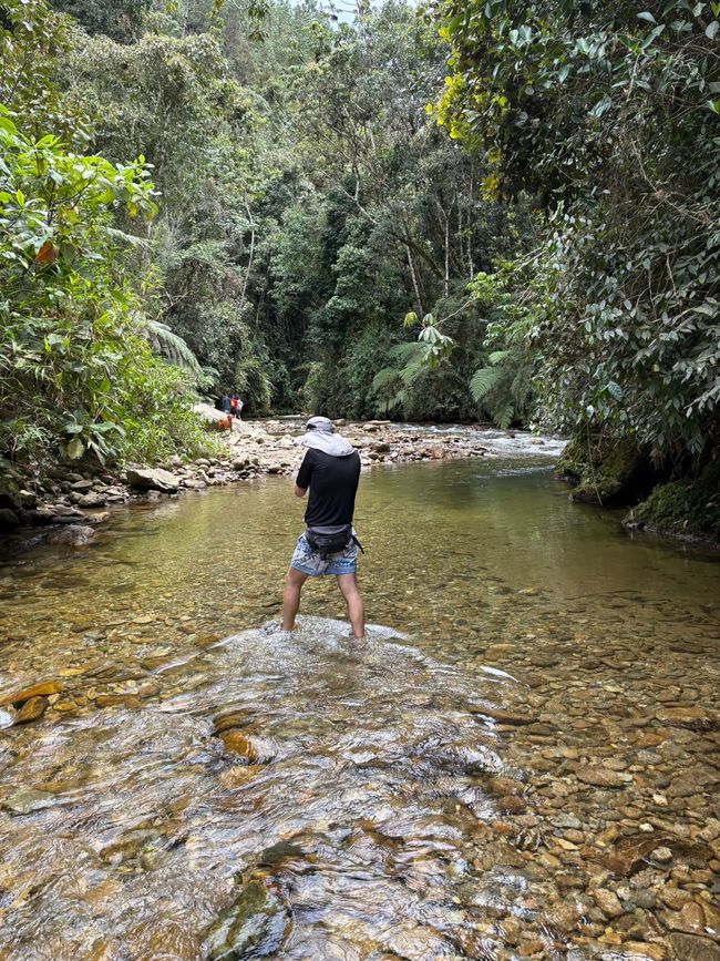 Semaine 26-28 : Au revoir, Colombie