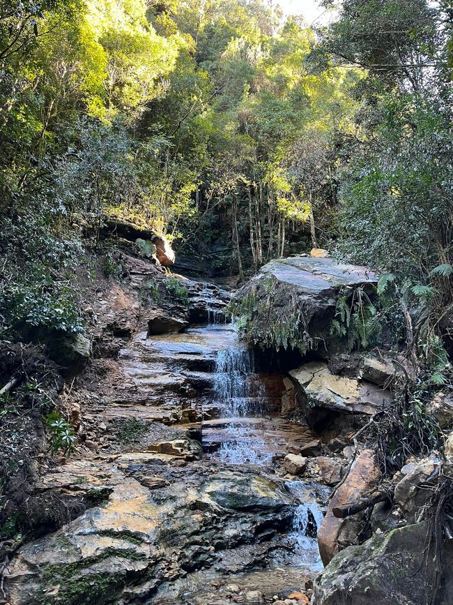 蓝山与邦迪海滩
