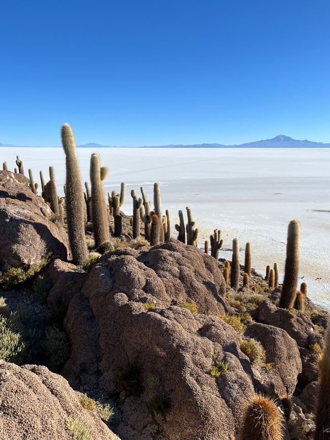 Salar de Uyuni