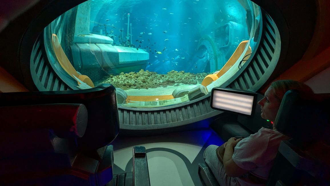标签 7 (2024) 迪拜海洋世界与雅斯湾