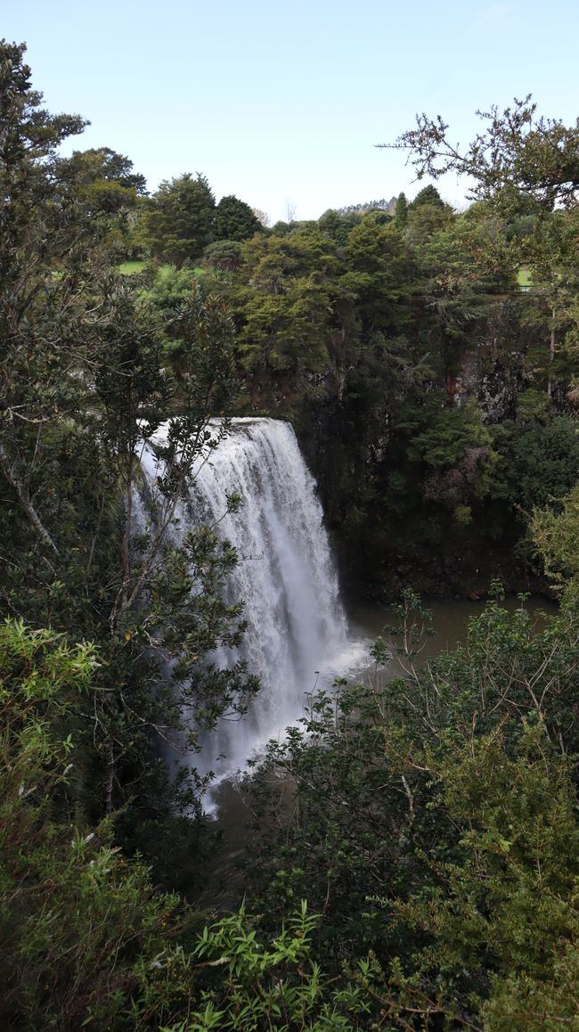 Whangarei Falls