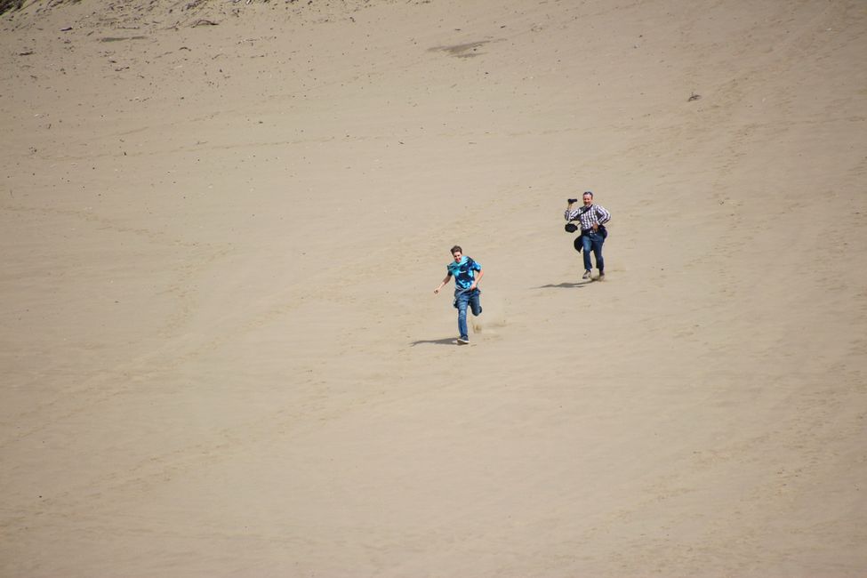 Etiqueta 21: Alrededor de Whitehorse: Cachorros de husky, Lago Esmeralda y el desierto más pequeño del mundo