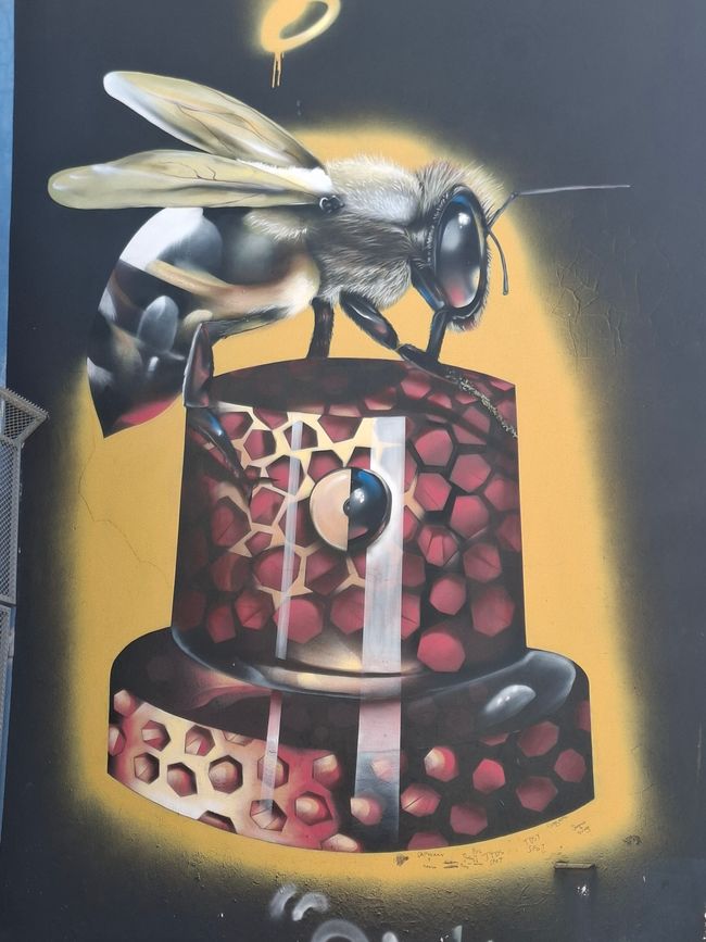 Descubrimiento del arte (y comida) de Salt River