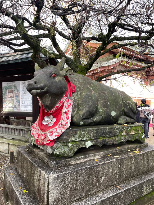 24. Chapitre : Vaches pour la sagesse et hystérie d'achat au marché Nishiki
