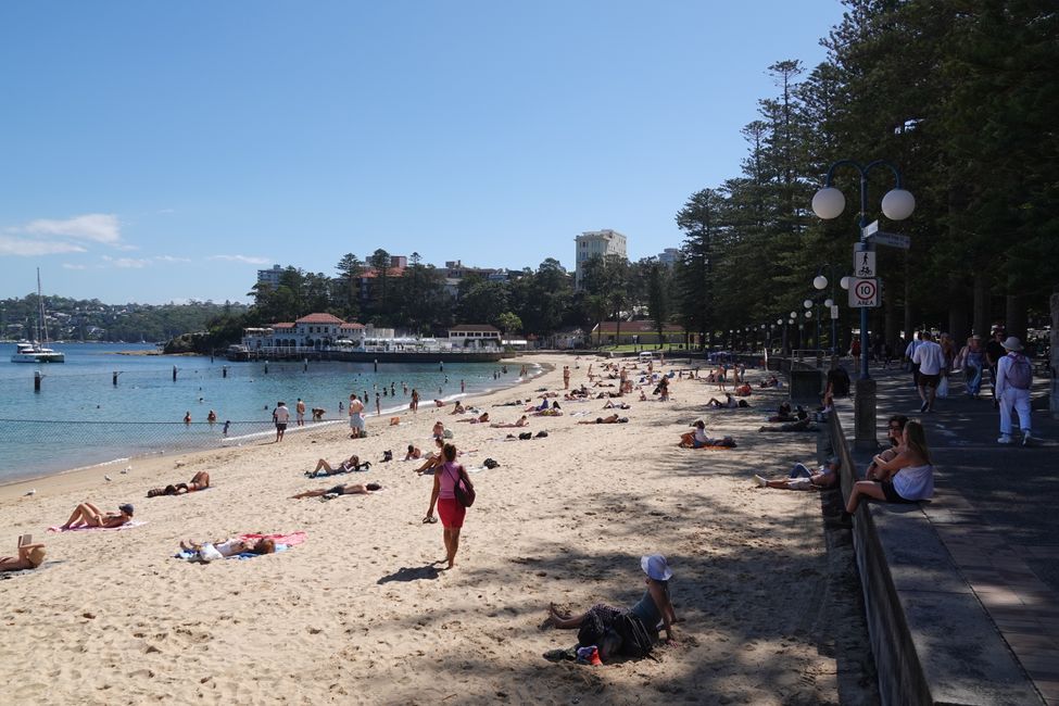 Manly Cove
