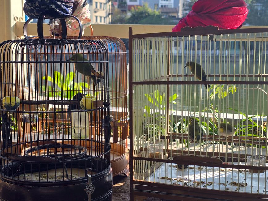 Hanoi, ein Blick zurück in Wehmut