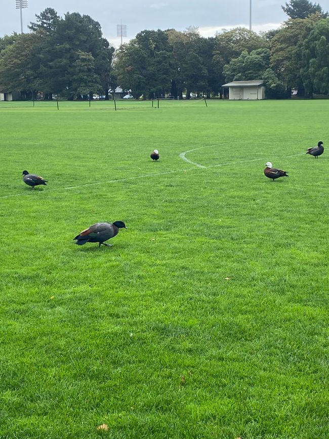 Lets do some Sightseeing