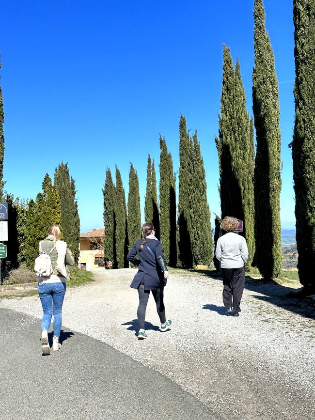 Tuscany Tour - Stop 3: Wine Tasting in Montalcino