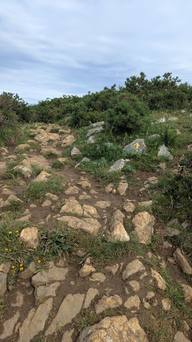 4. Etappe Camino del Norte von Liendo nach Santona