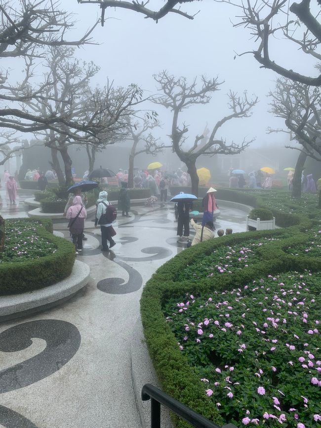 Tag 6 - Hoi An : Un Licorne Endormi et une Aventure dans le Brouillard