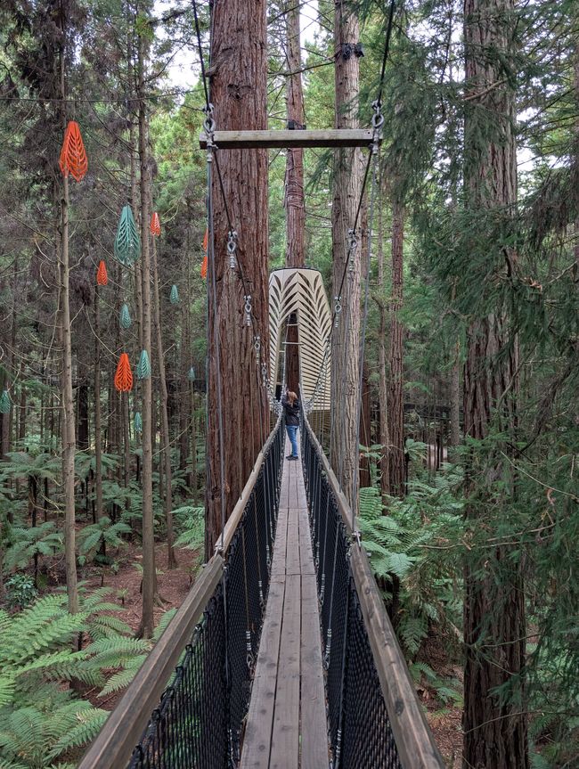 Te Pūia